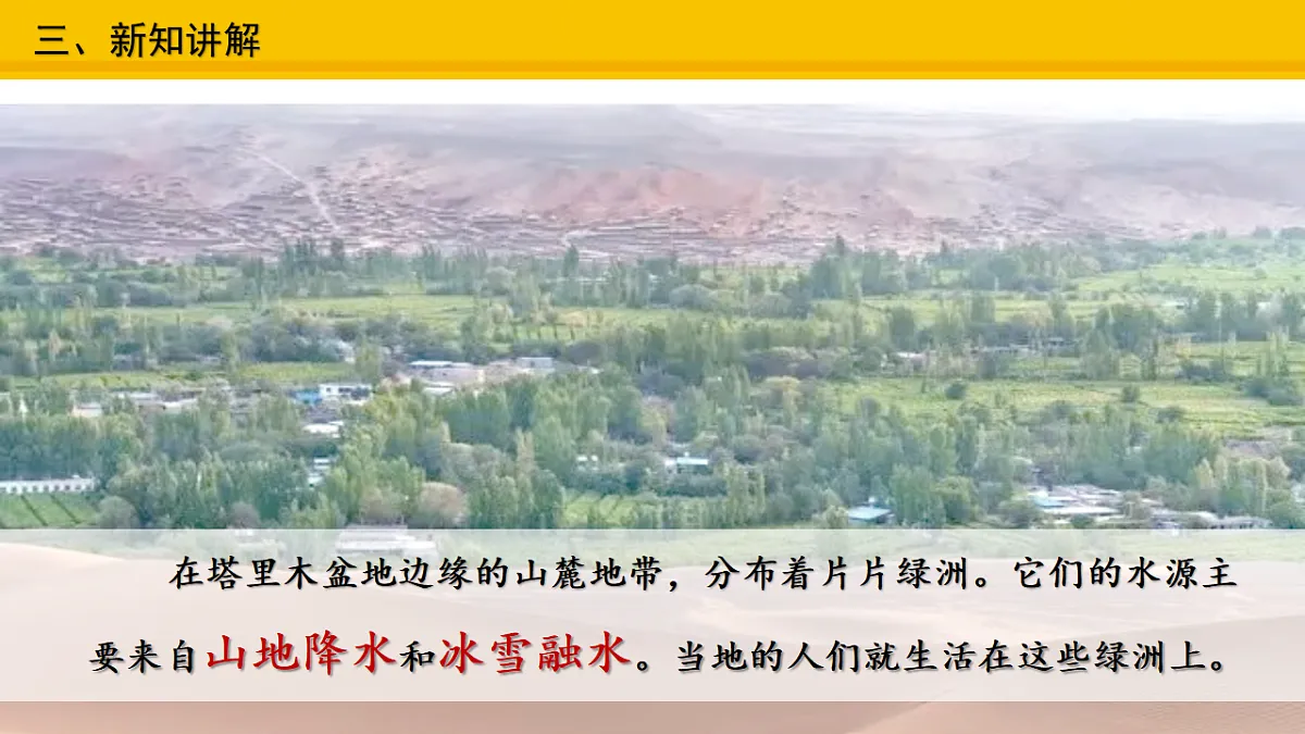 17678103第8页