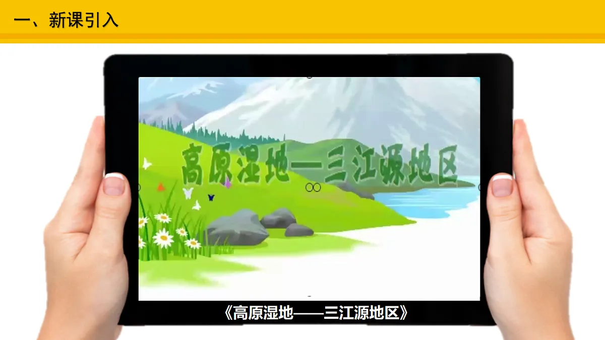 17678105第2页