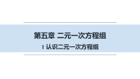 初中数学北师大版（2024）八年级上册（2024）1 认识二元一次方程组课前预习ppt课件