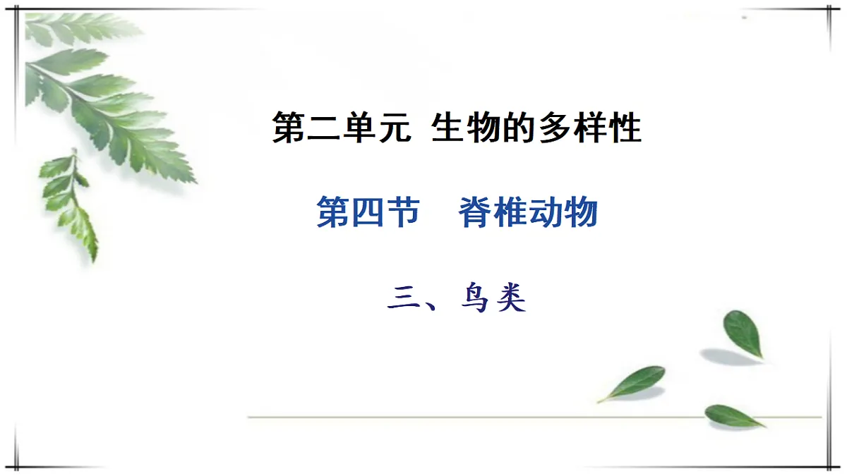 17678253第1页