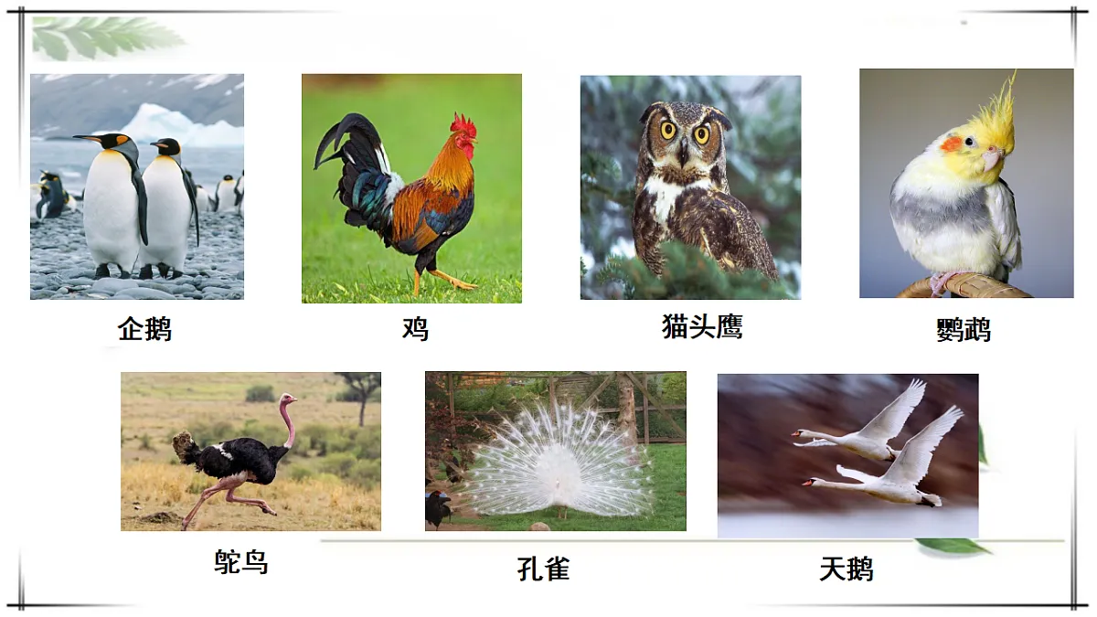 17678253第2页