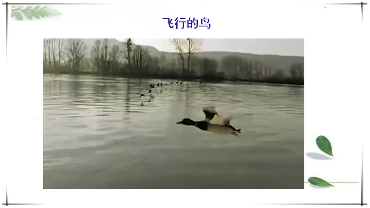 17678253第3页