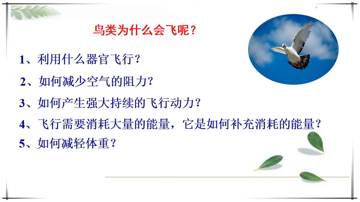 17678253第4页