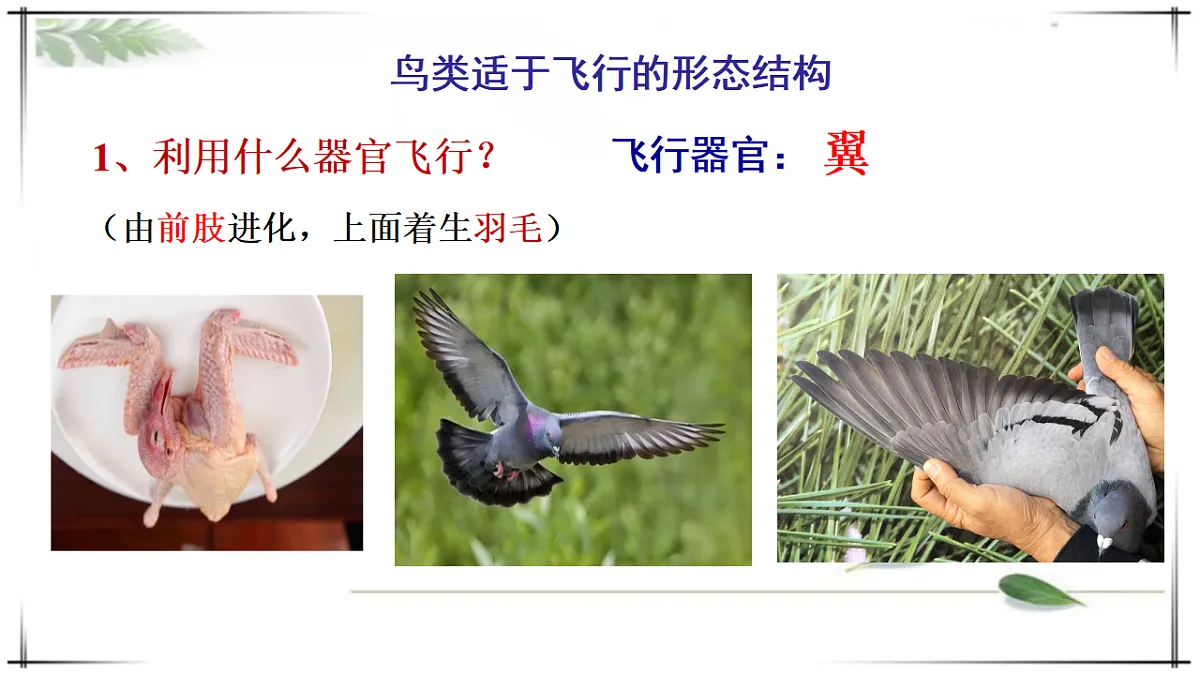 17678253第5页