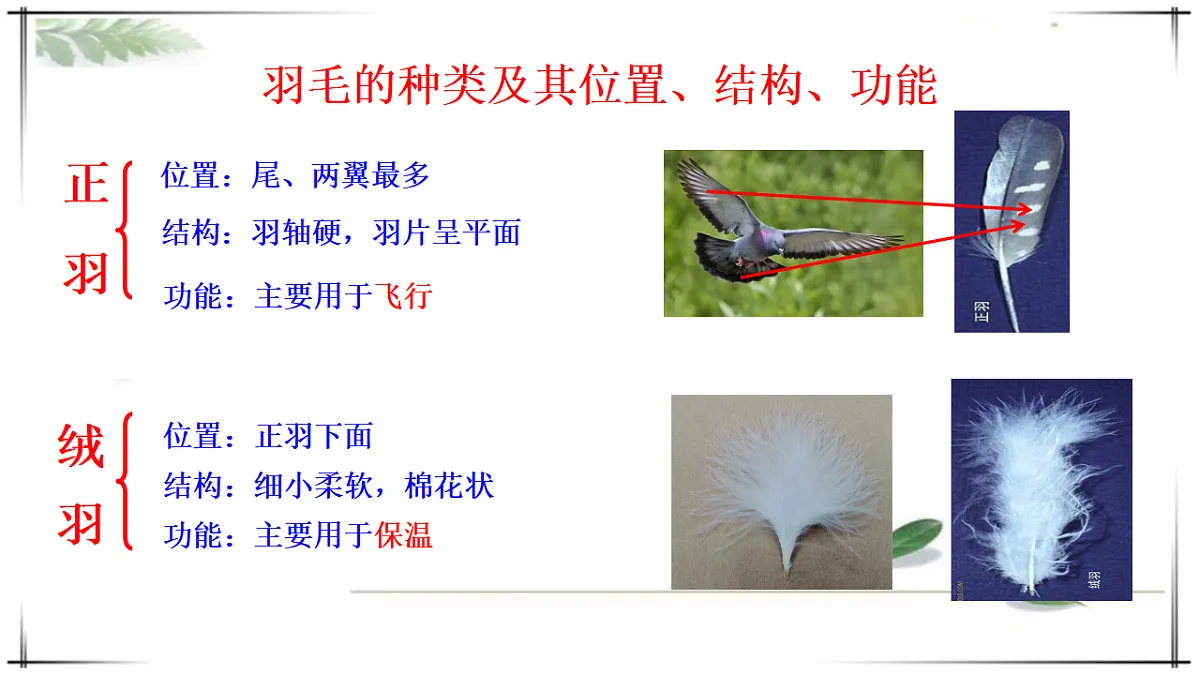 17678253第6页