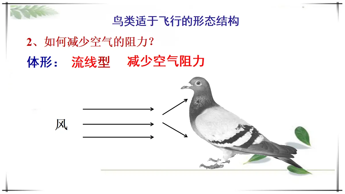 17678253第7页