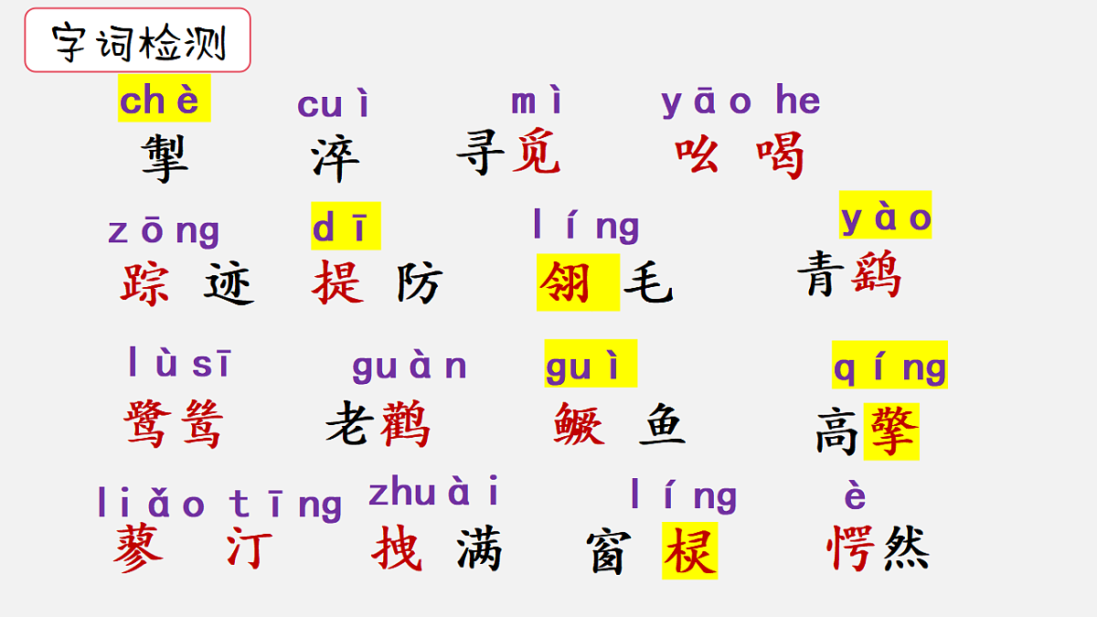 17678319第4页
