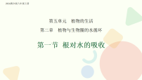 初中生物冀少版（2024）八年级上册（2024）第一节 根对水的吸收教案配套课件ppt