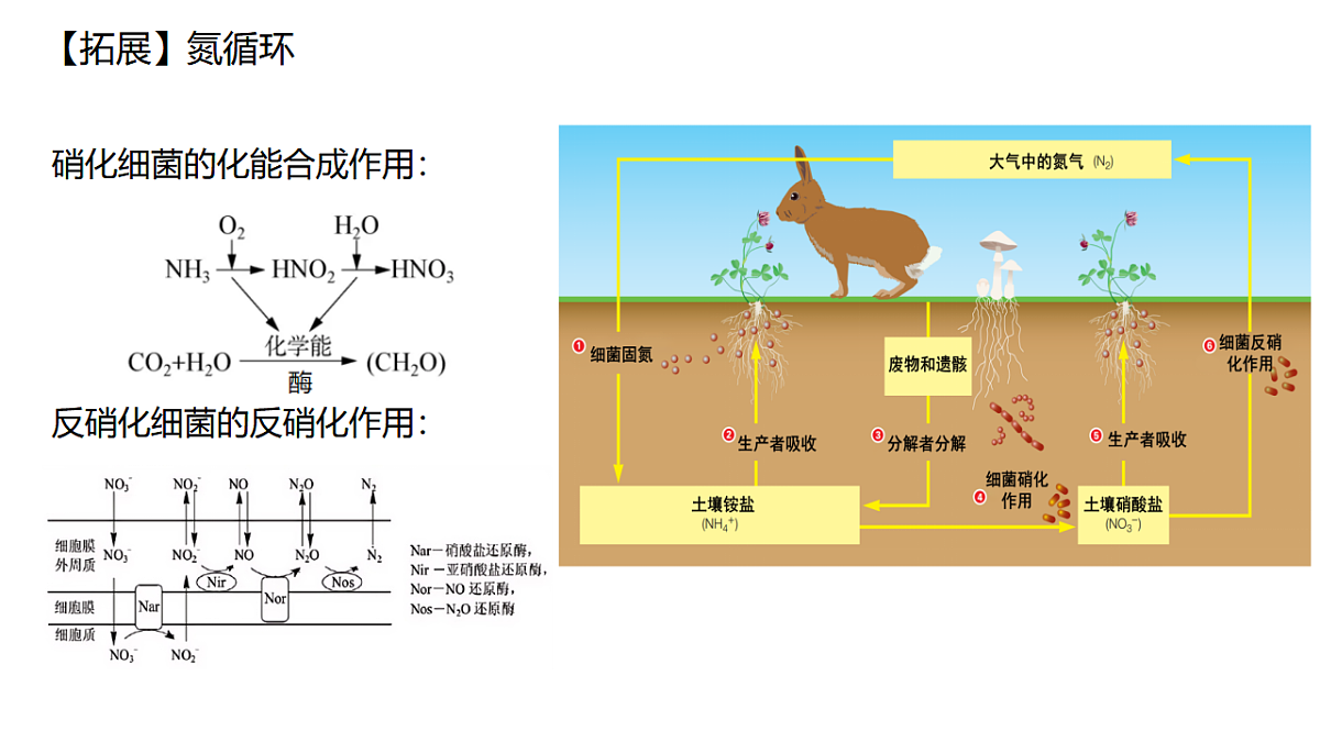 17678405第7页
