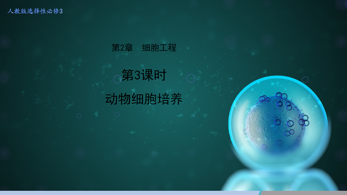 17678721第1页