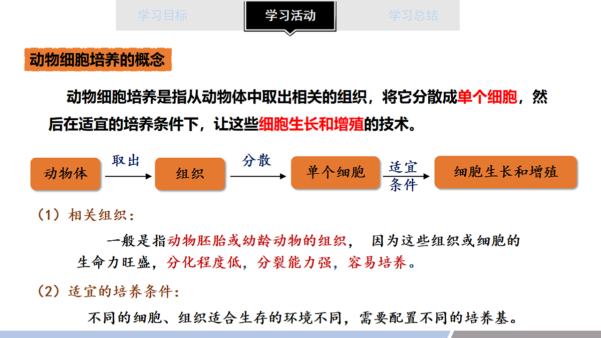 17678721第3页