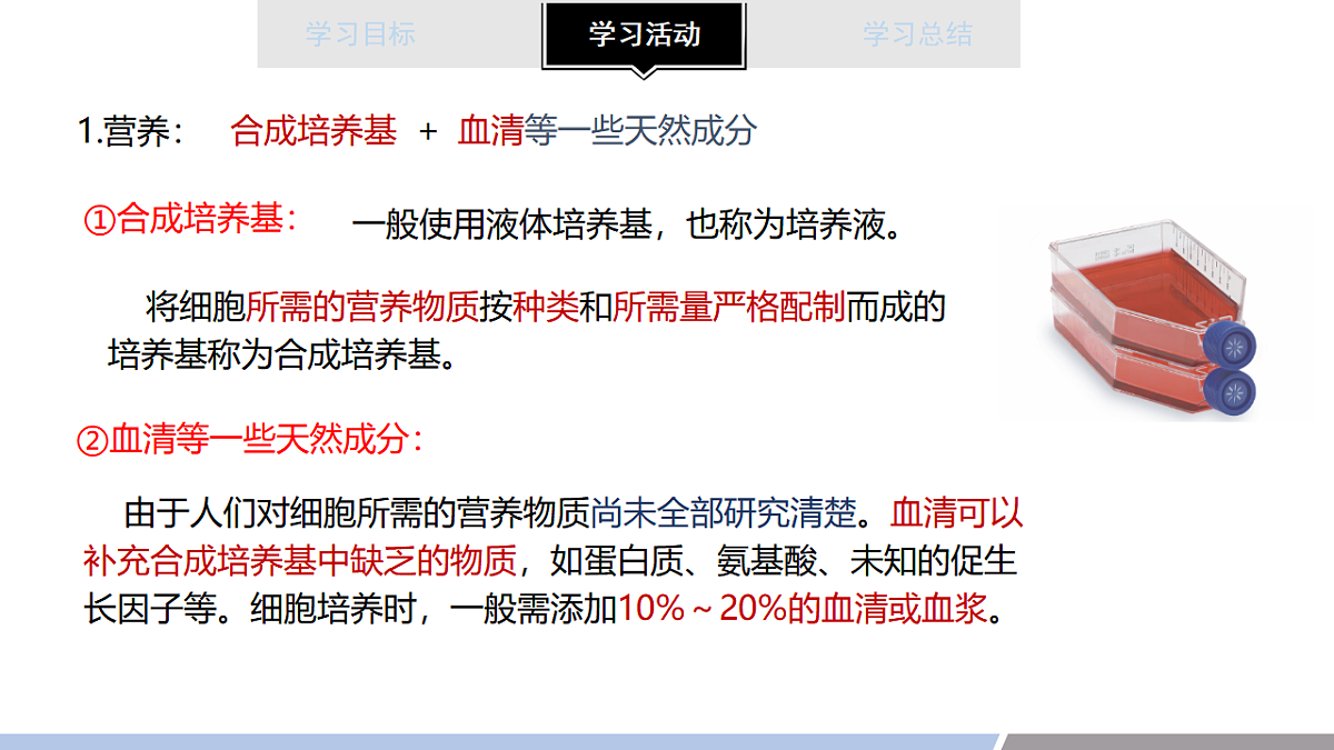 17678721第5页