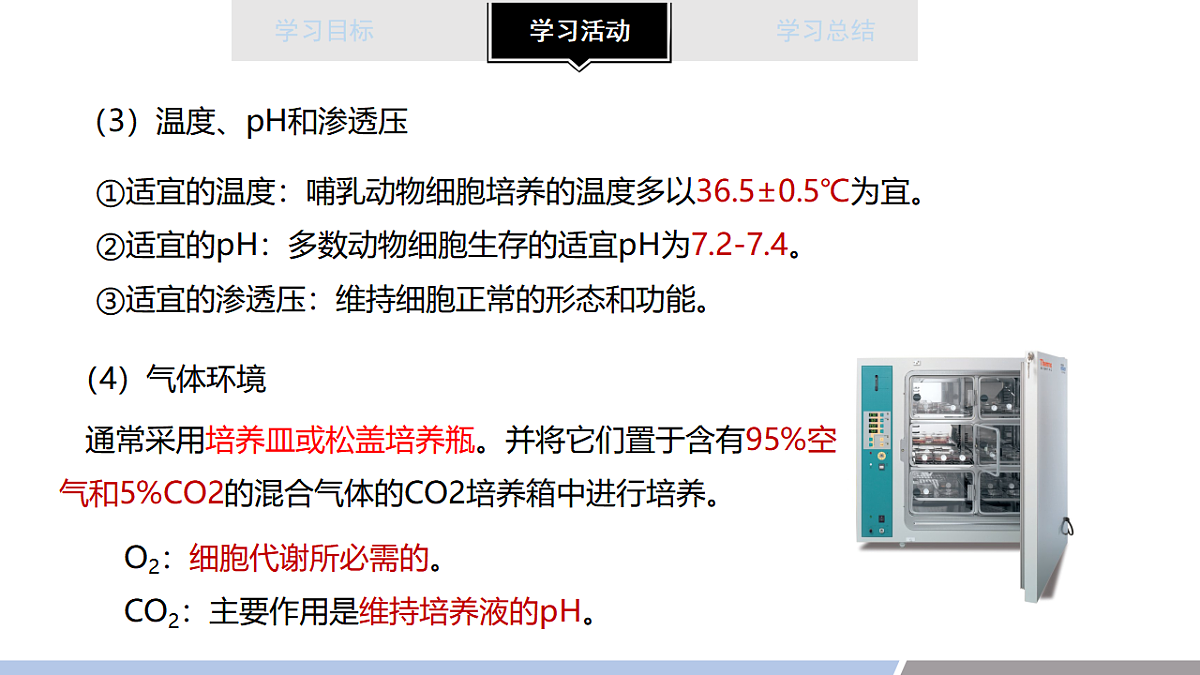17678721第7页