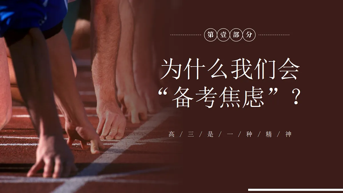 17678758第3页