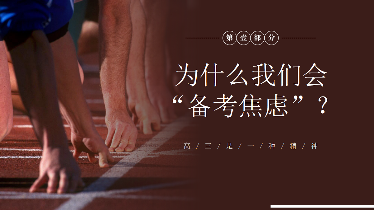 17678758第3页