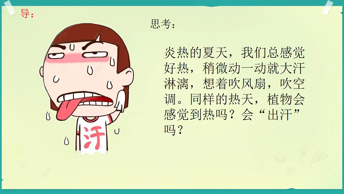 17678779第3页