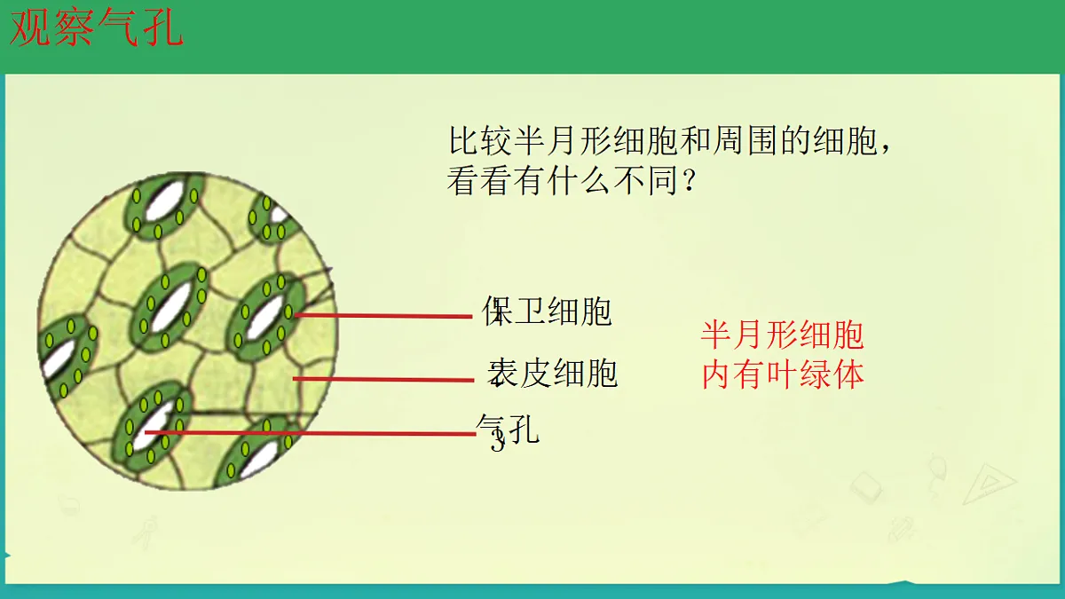17678779第7页