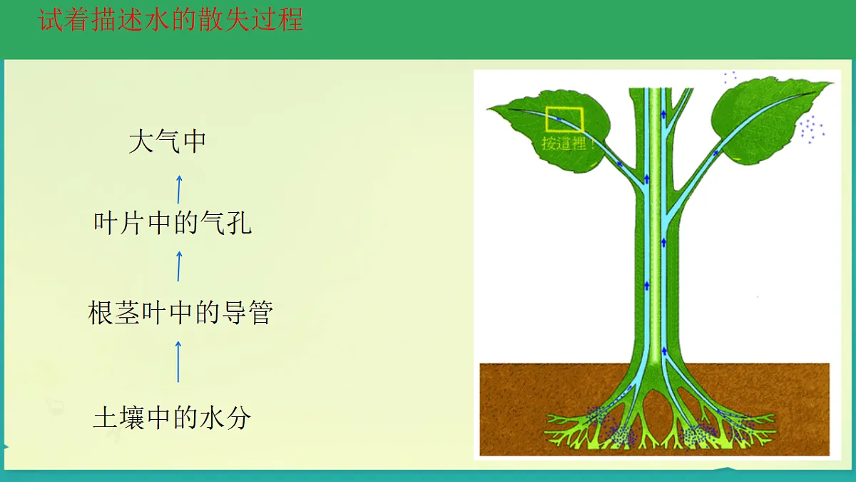 17678779第8页