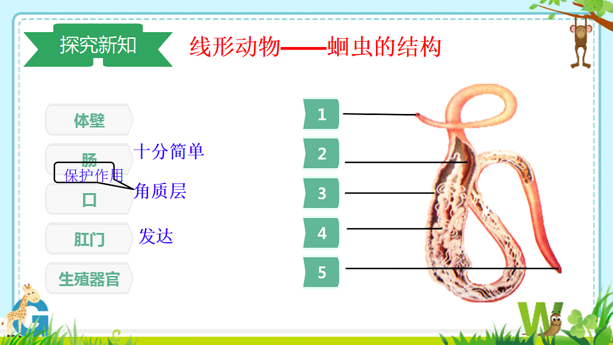 17678796第6页
