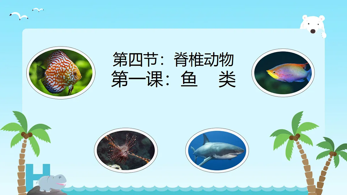 17678802第1页