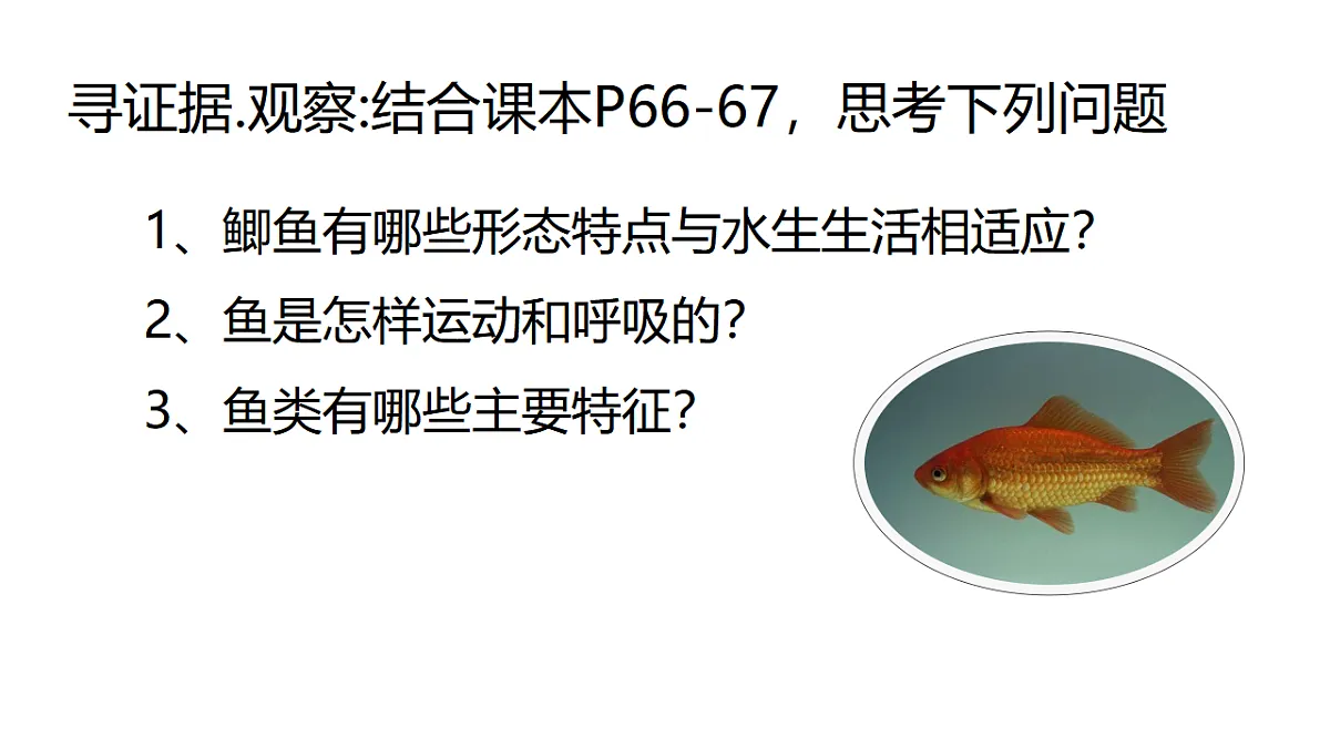 17678802第4页