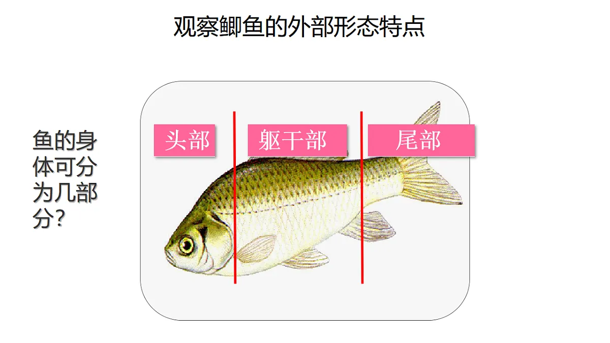 17678802第5页