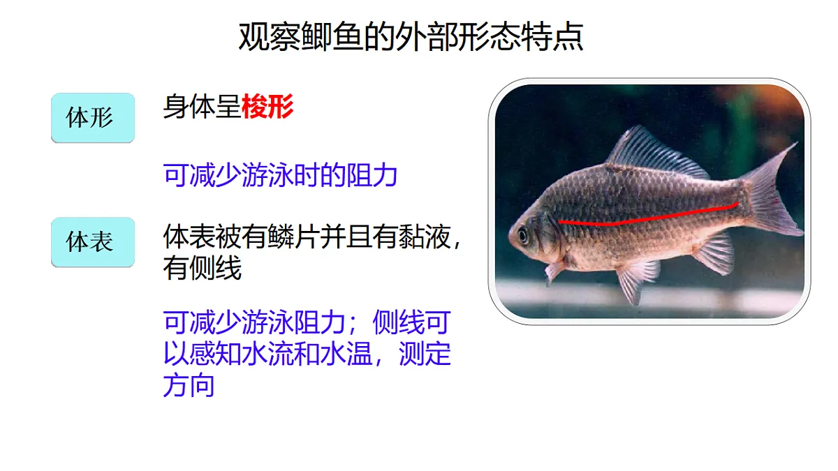 17678802第6页