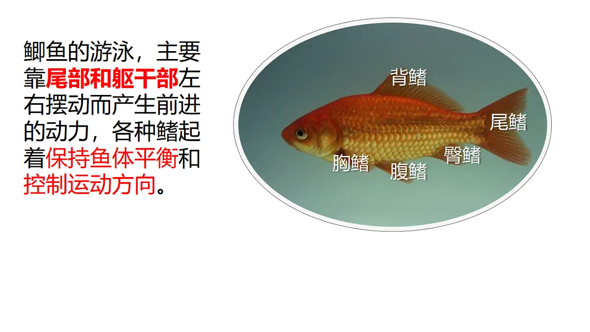 17678802第7页