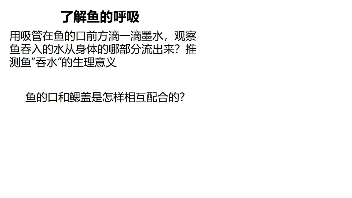 17678802第8页