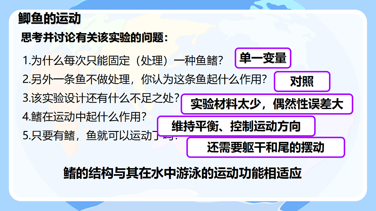 17678803第8页