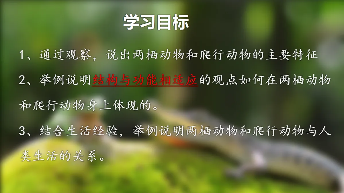 17678806第2页