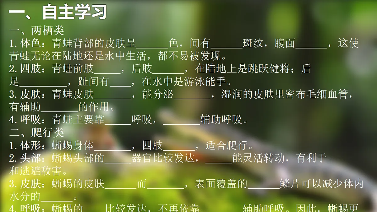17678806第3页