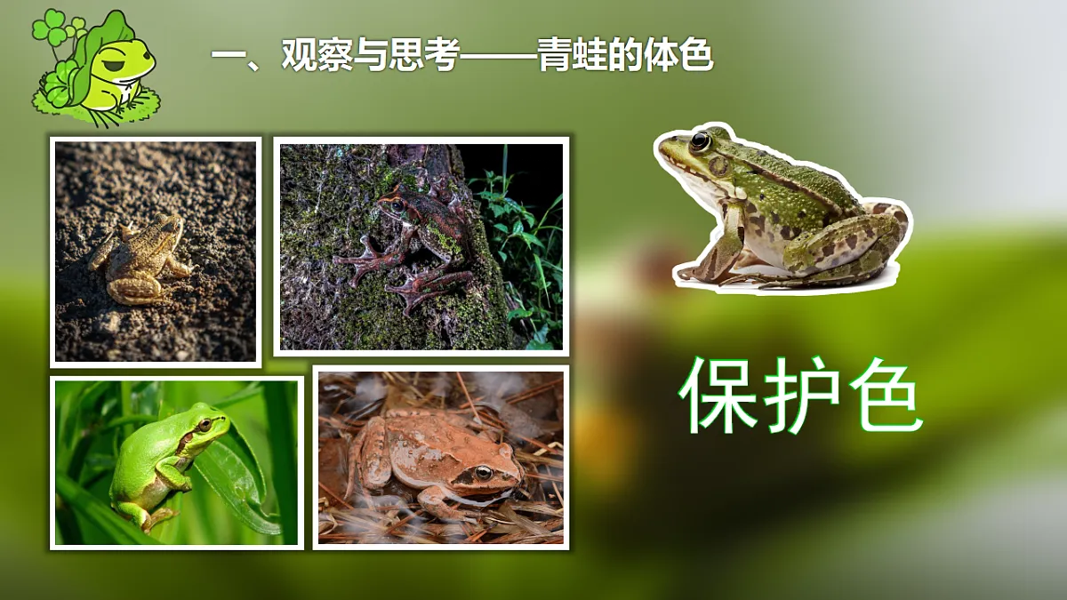 17678806第5页