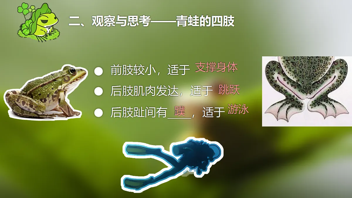 17678806第6页
