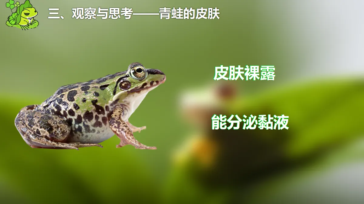 17678806第7页
