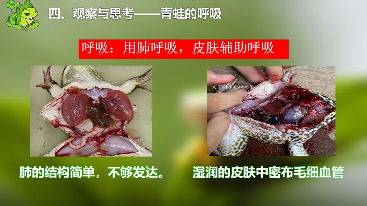 17678806第8页