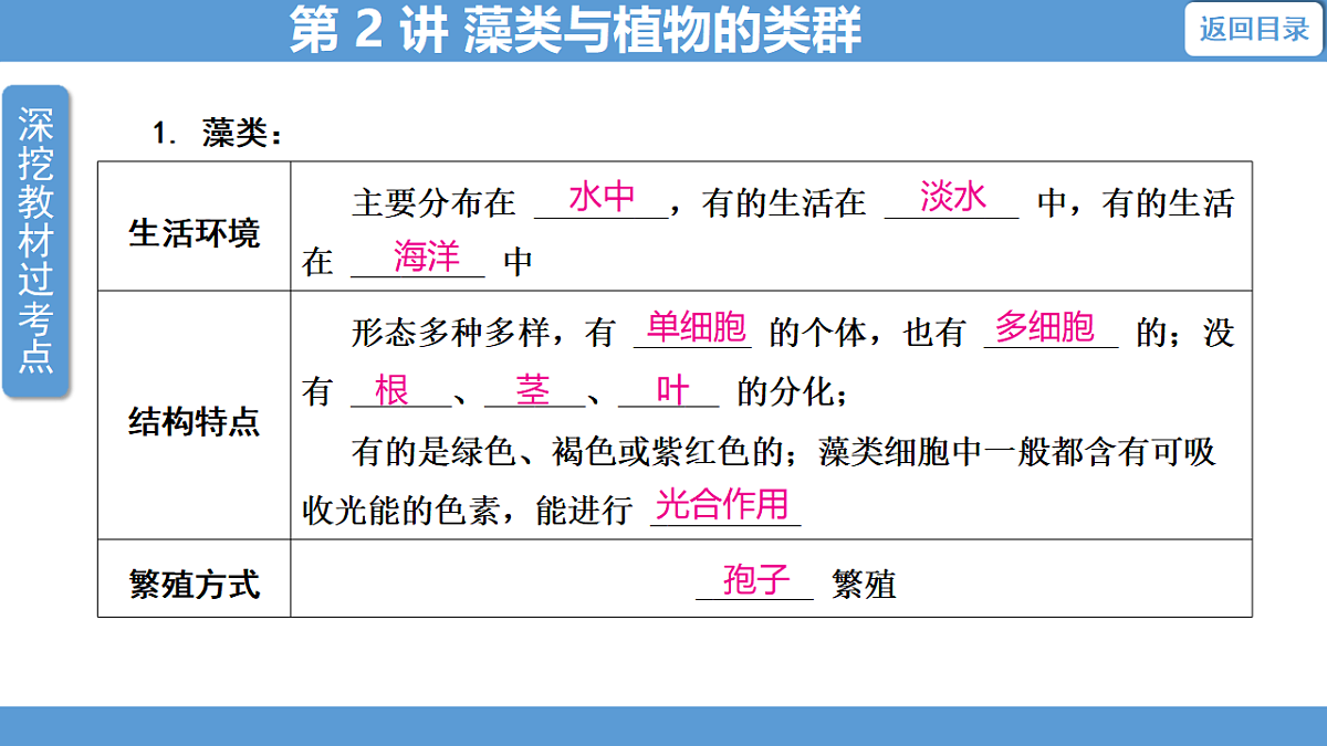 17678837第4页