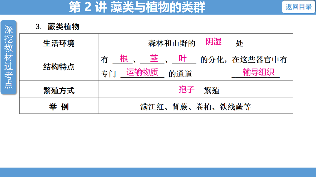 17678837第7页