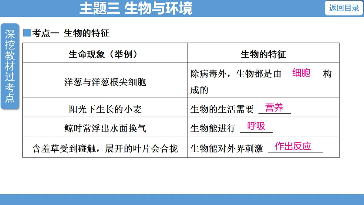 17678840第3页