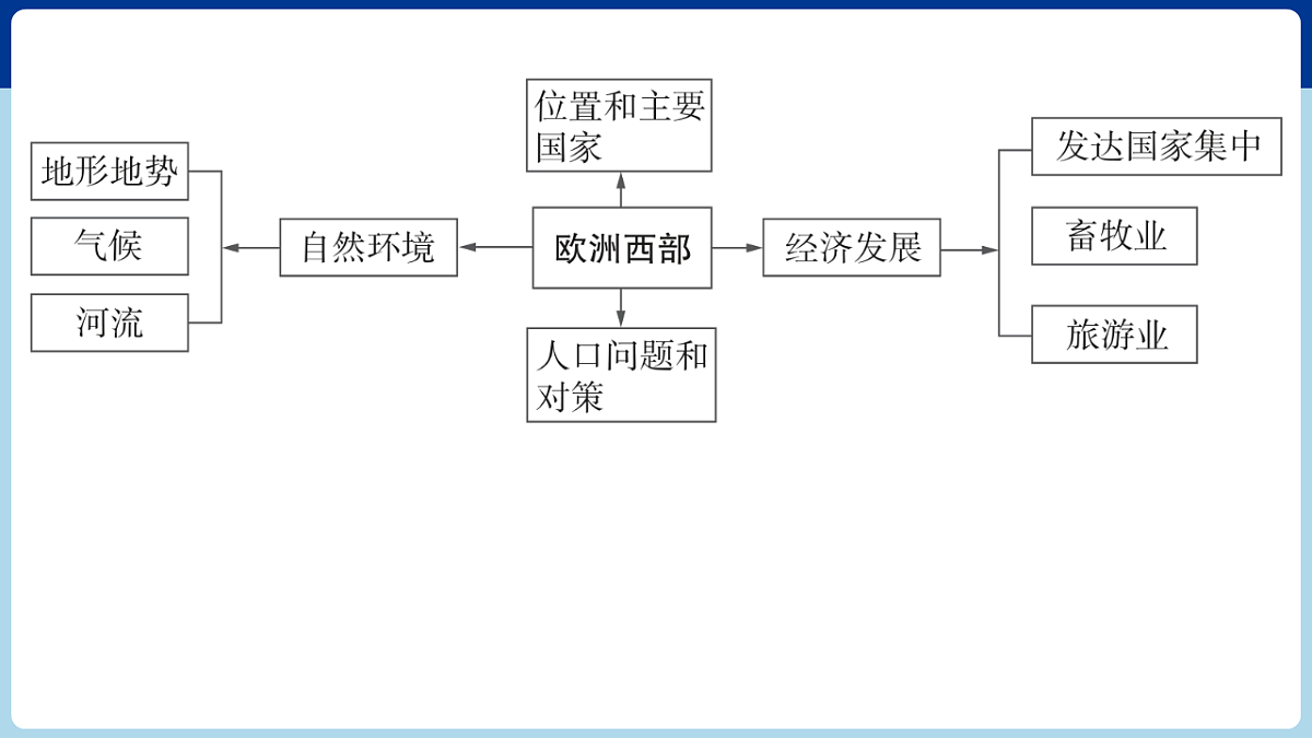 17680593第3页