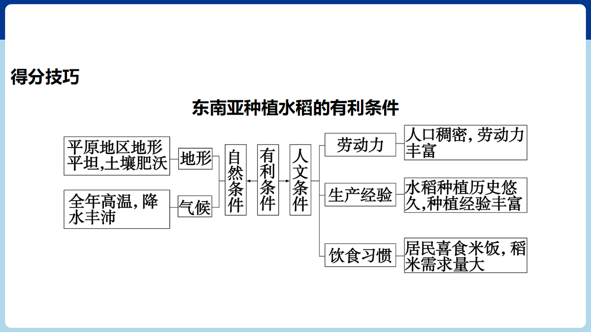 17680594第8页