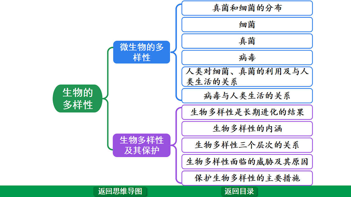 17680596第3页