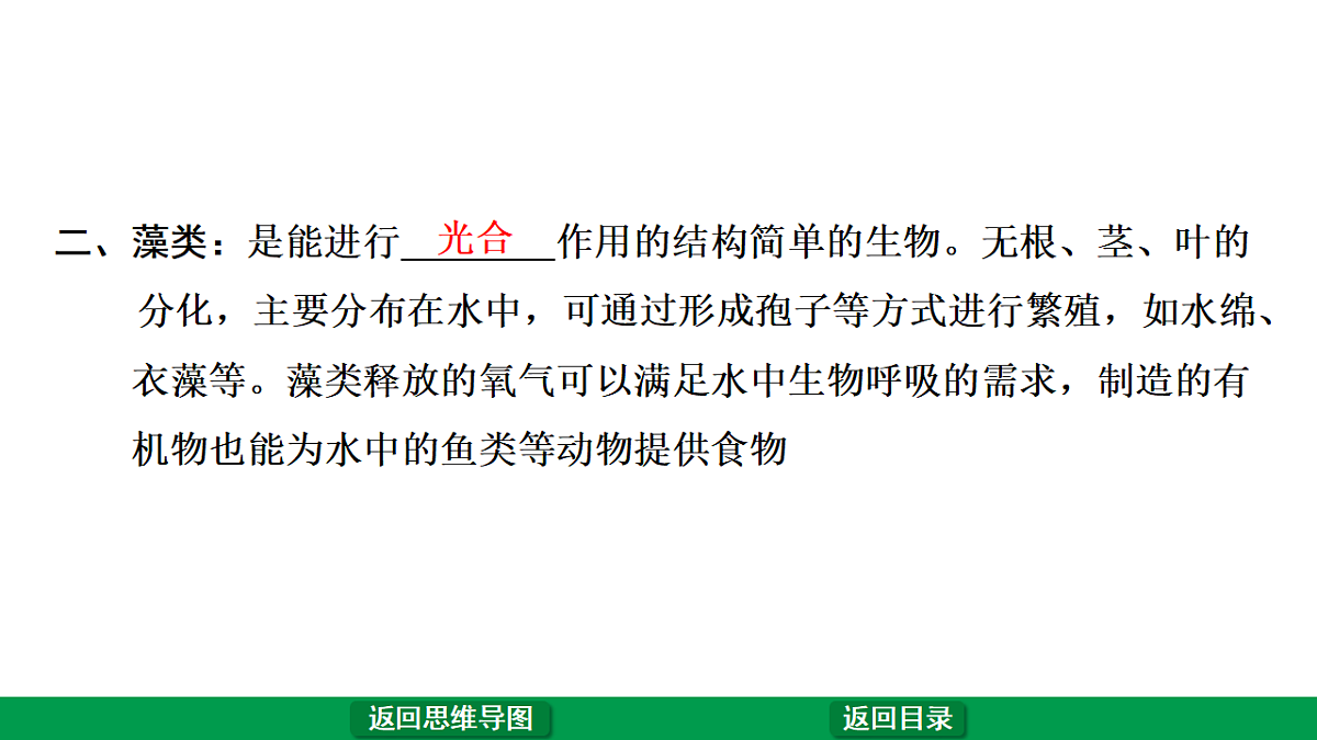17680596第5页