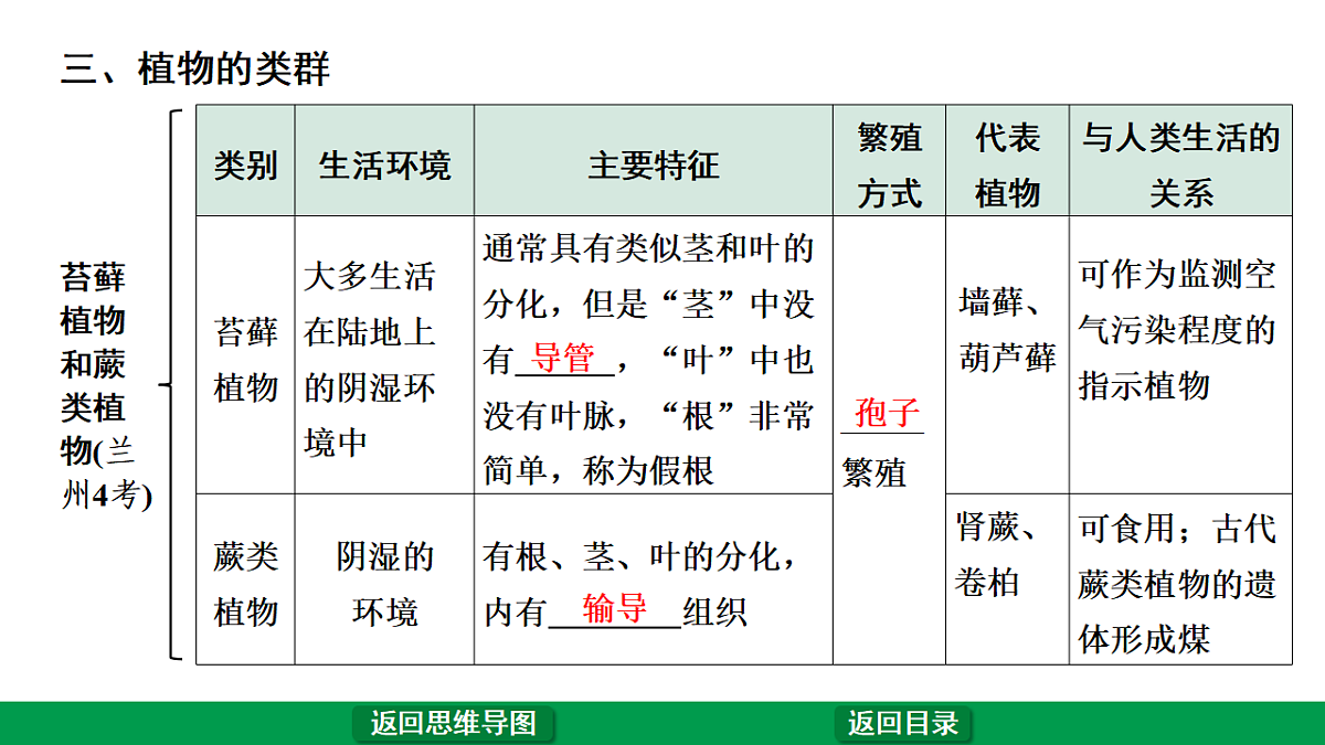 17680596第6页