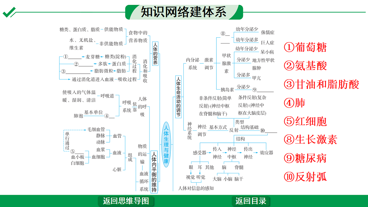 17680597第4页