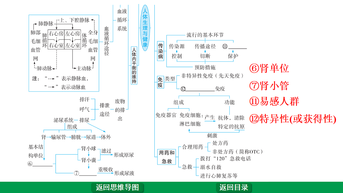 17680597第5页