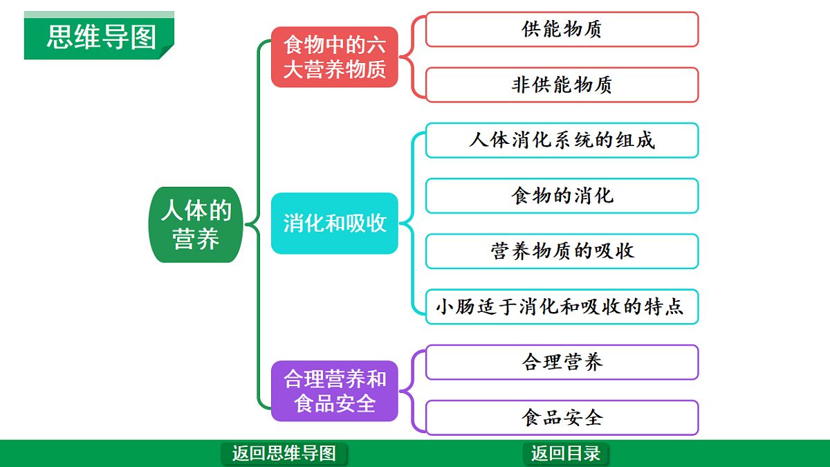 17680597第6页