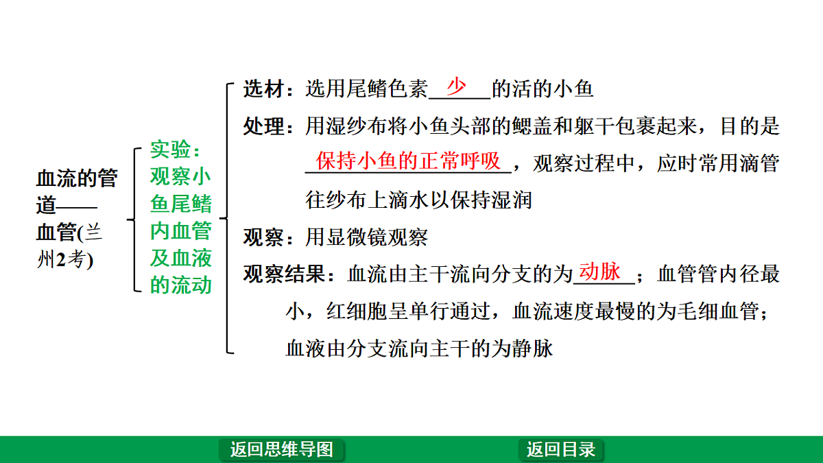 17680598第8页