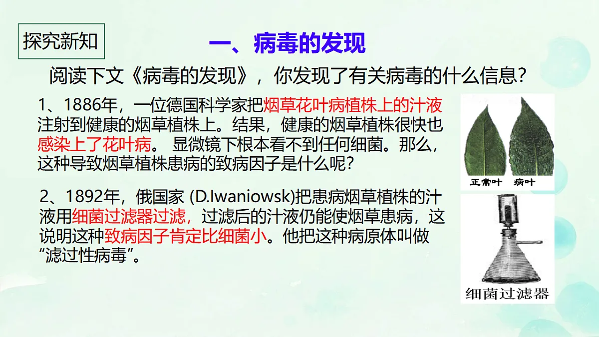 17681761第4页