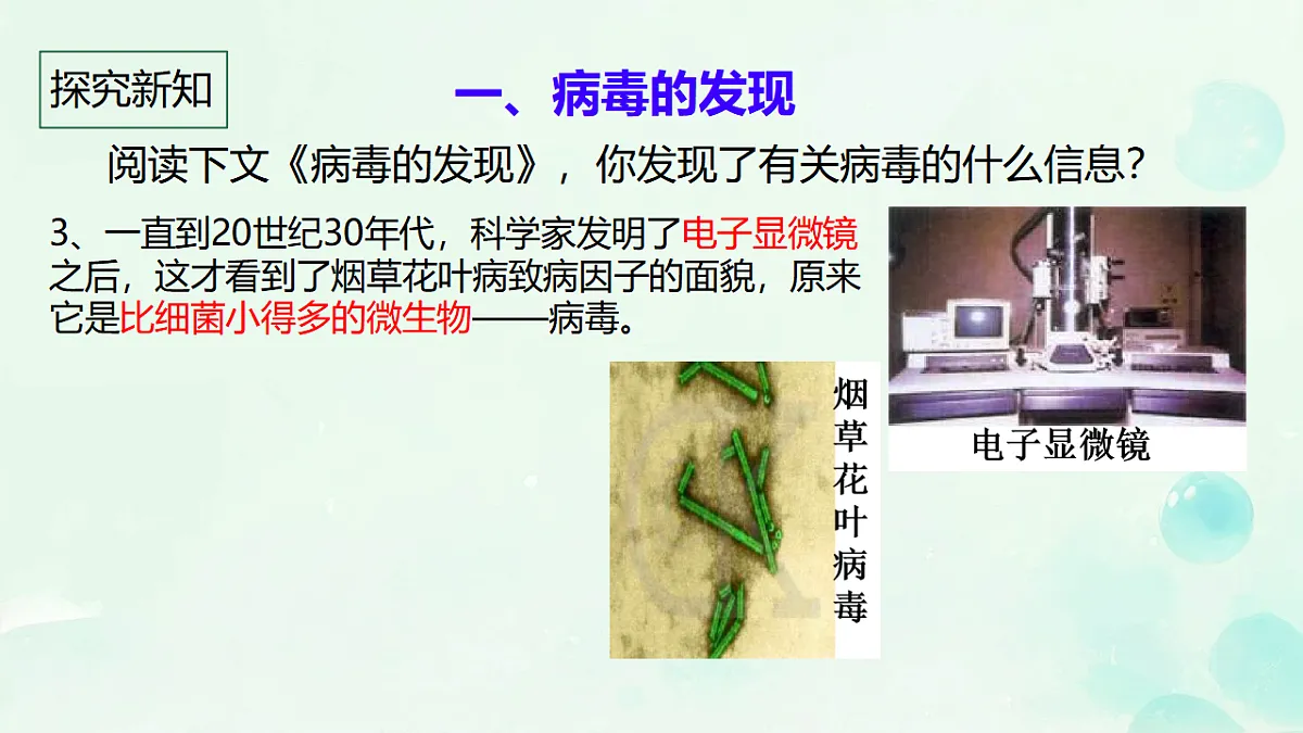 17681761第5页